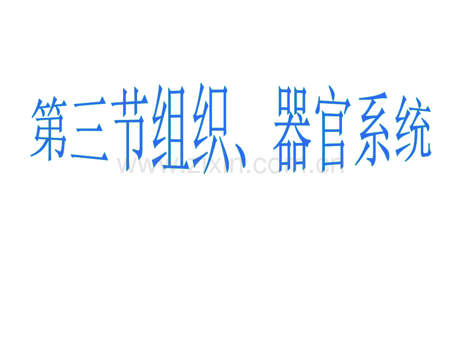 七年级科学组织器官系统.pptx_第1页