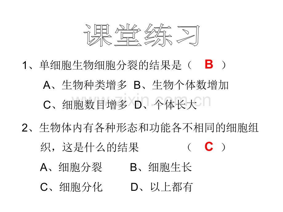 七年级科学组织器官系统.pptx_第3页