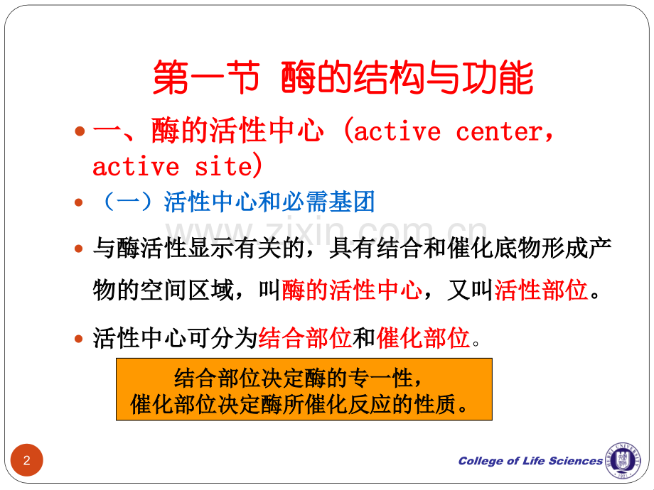 酶学与酶工程学生.pptx_第2页