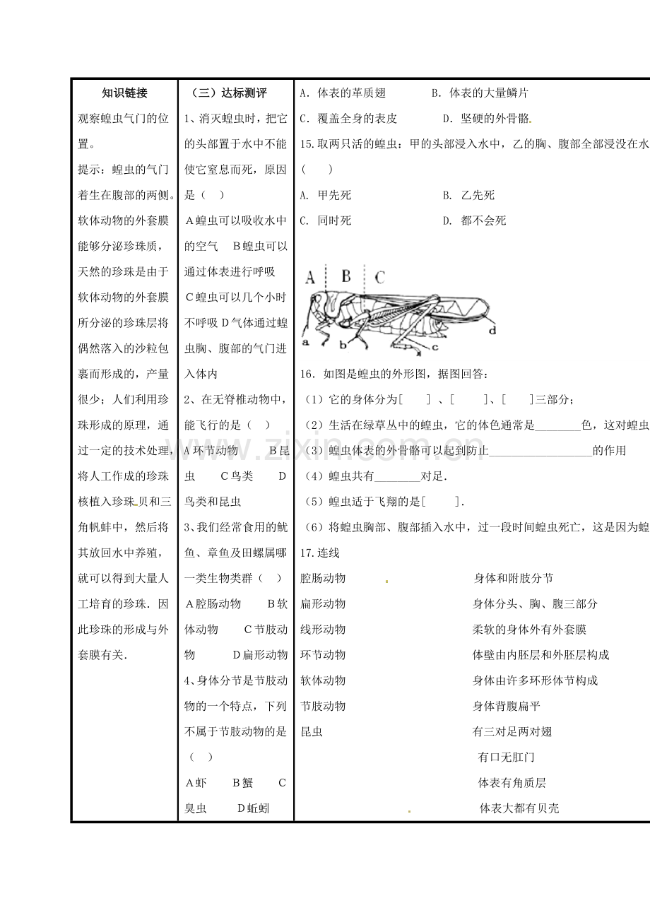 八年级生物上册----软体动物和节肢动物导学案无答案新版新人教版.doc_第3页