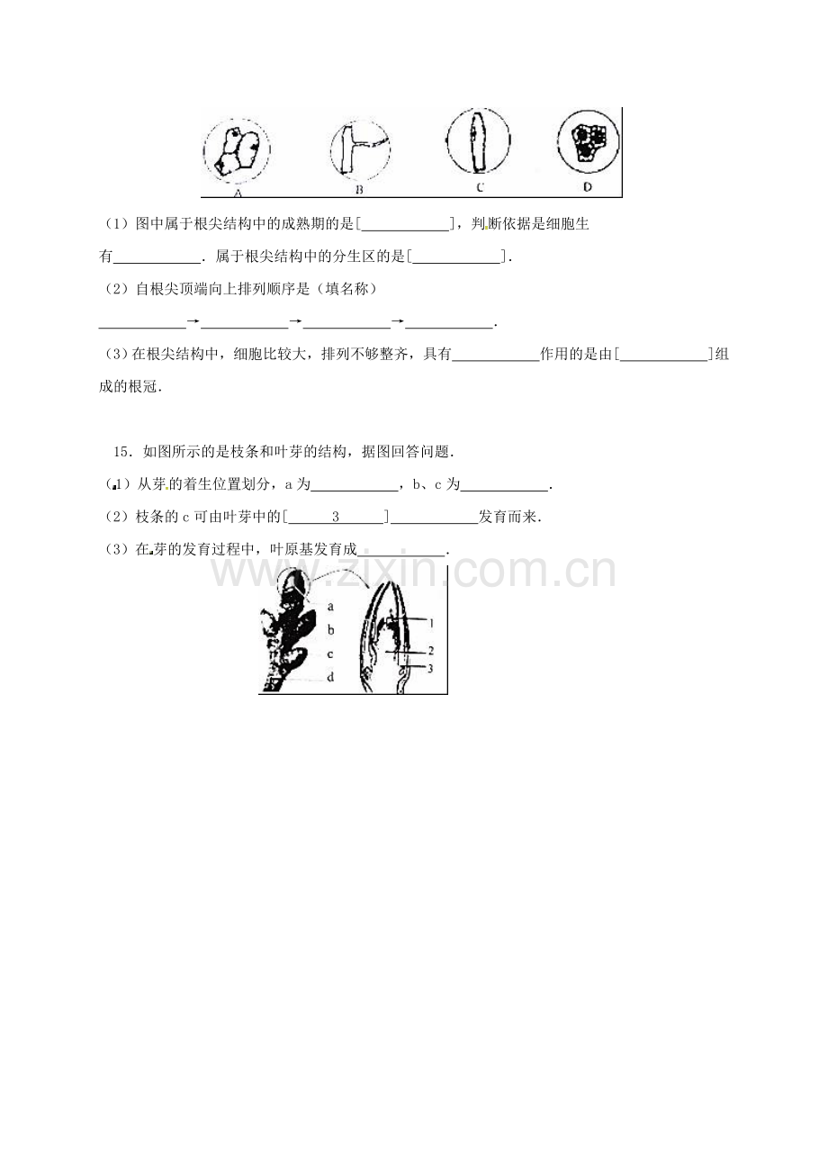 八年级生物上学期第一次月考试题无答案.doc_第3页