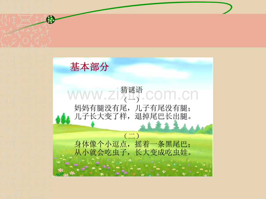 小学三年级立定跳远.pptx_第3页