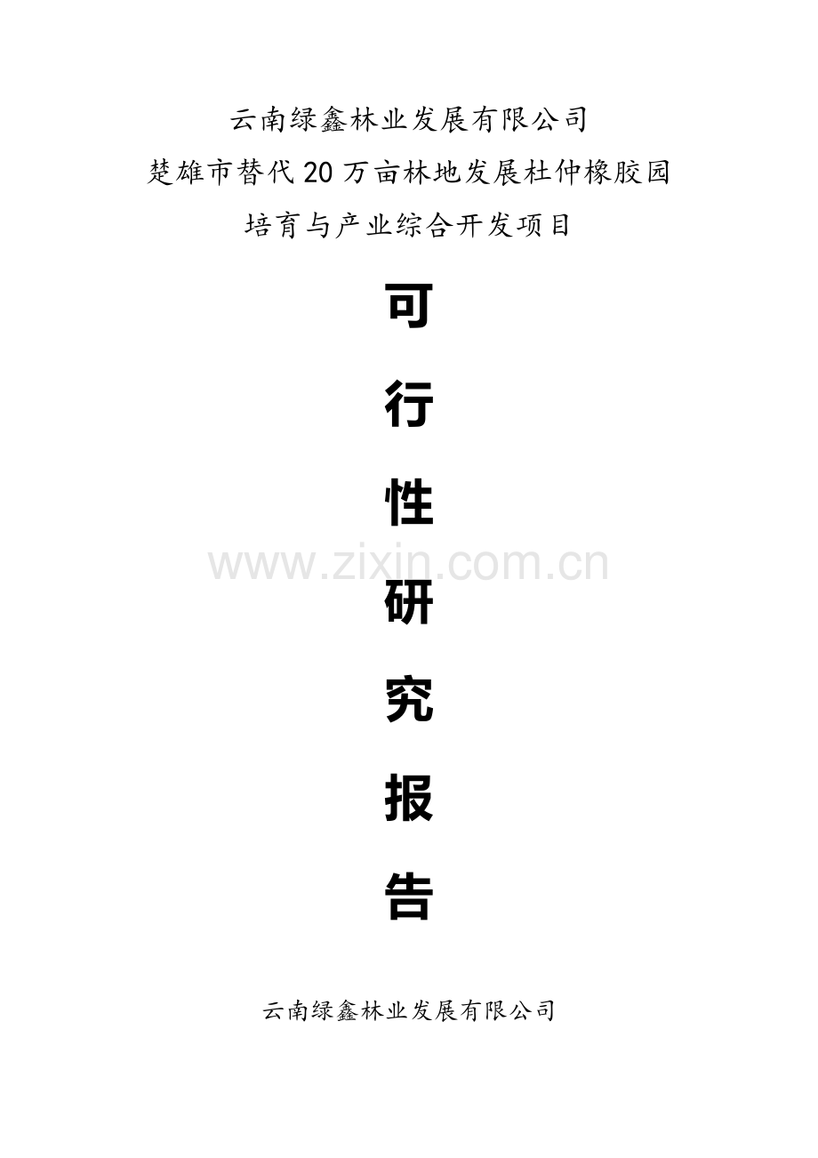 楚雄市替代20万亩林地发展杜仲橡胶园培育与产业综合开发项目建设可行性研究报告.doc_第1页