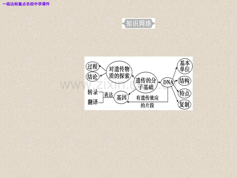 高三生物复习精讲精练之专题七考点1人类对遗传物质的探索过程.pptx_第3页