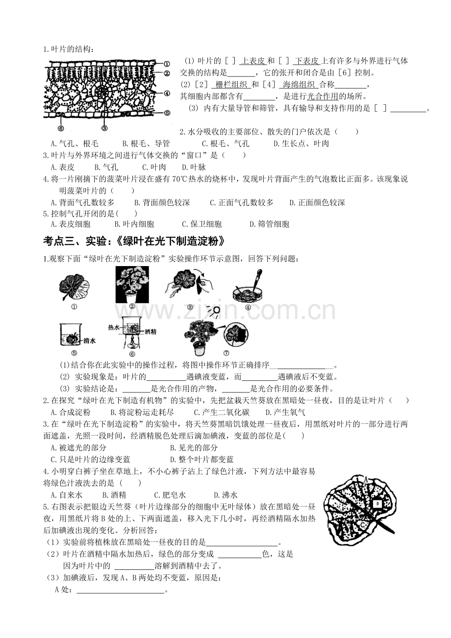 绿色植物三大作用专题复习.doc_第2页