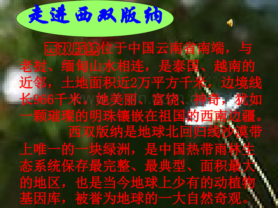 19美丽的西双版纳.pptx_第2页