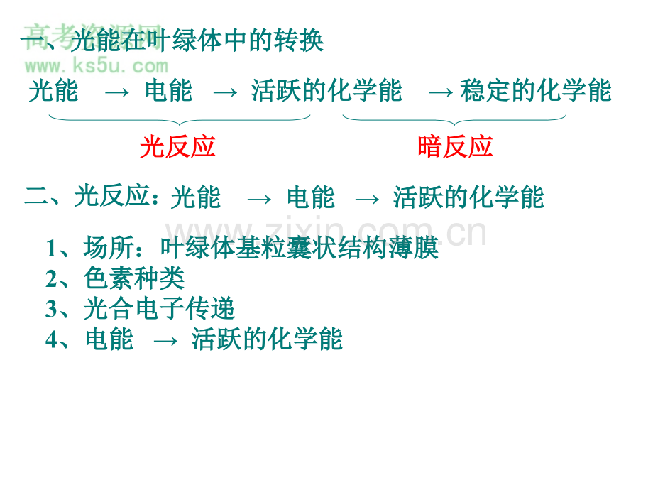 高三生物光合作用课件.pptx_第2页