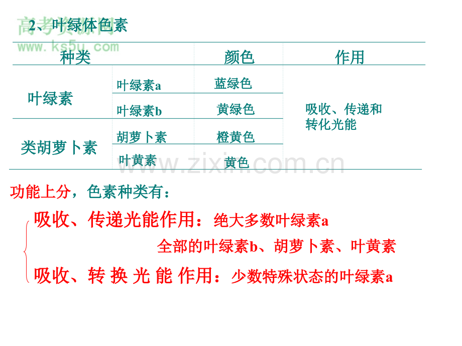 高三生物光合作用课件.pptx_第3页