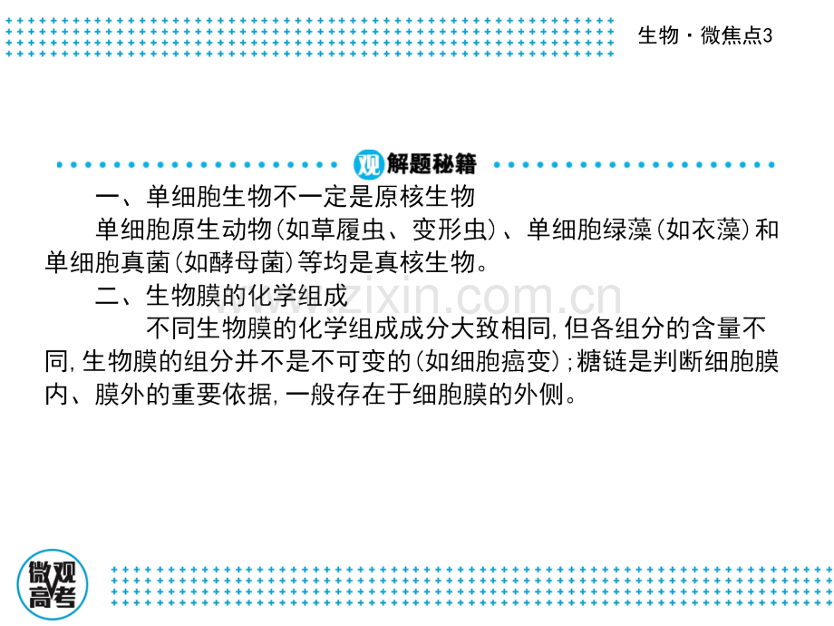 高三生物二轮复习微焦点3对病毒细胞生物膜系统结构和功能的理解-共39张.pptx_第3页