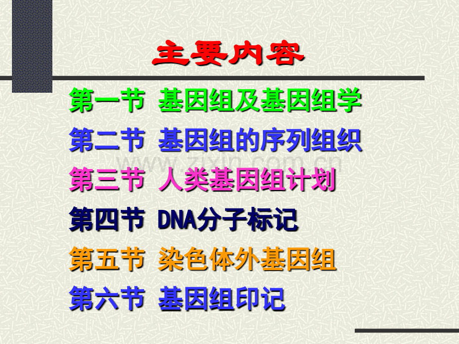 动物遗传学基因组水平的遗传.pptx_第1页