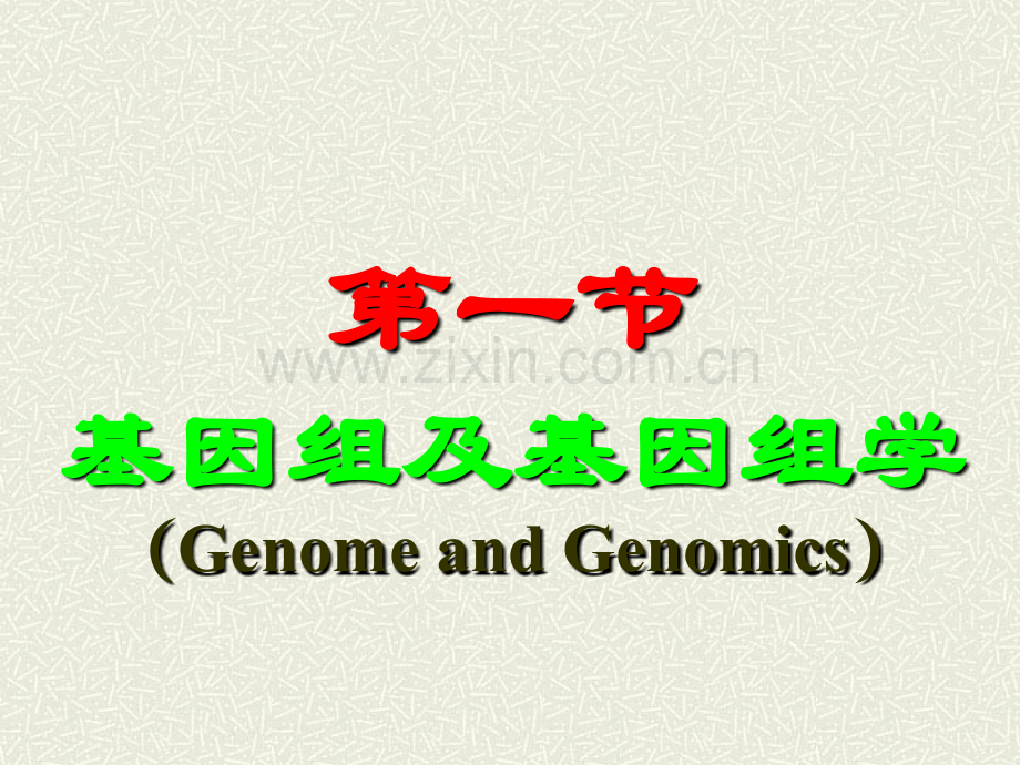 动物遗传学基因组水平的遗传.pptx_第2页