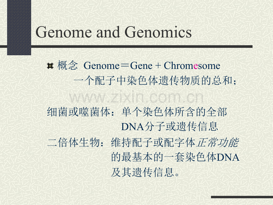 动物遗传学基因组水平的遗传.pptx_第3页