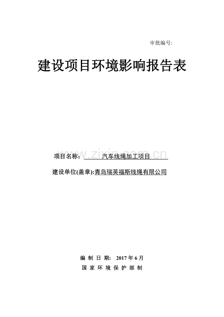 汽车线绳加工项目环境影响报告表.doc_第1页