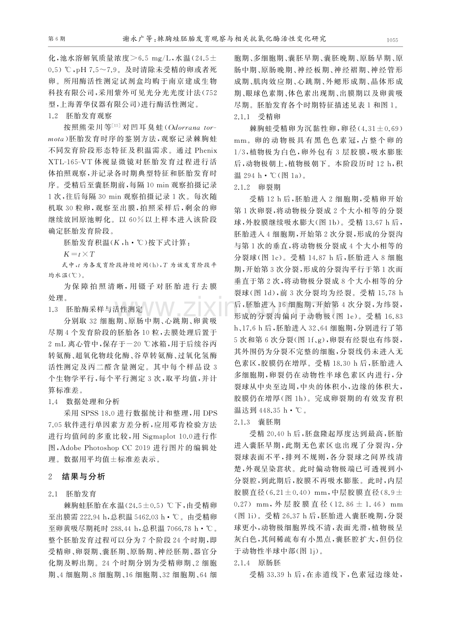 棘胸蛙胚胎发育观察与相关抗氧化酶活性变化研究.pdf_第2页