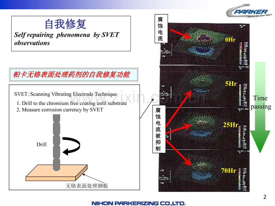 镀锌钢板表面处理技术应用评价.pptx_第2页