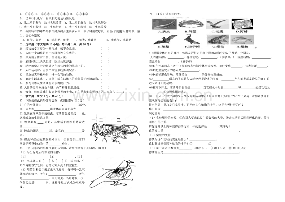 八年级生物上学期期中复习试卷无答案-新人教版.doc_第2页