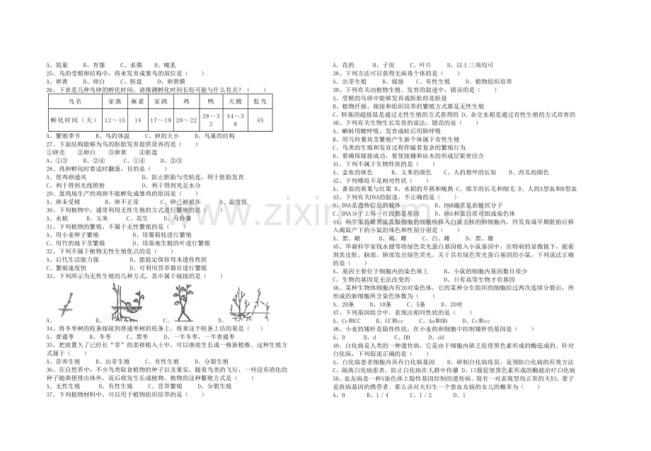 八年级生物上册--生命的延续测试题-北师大版1.doc_第2页