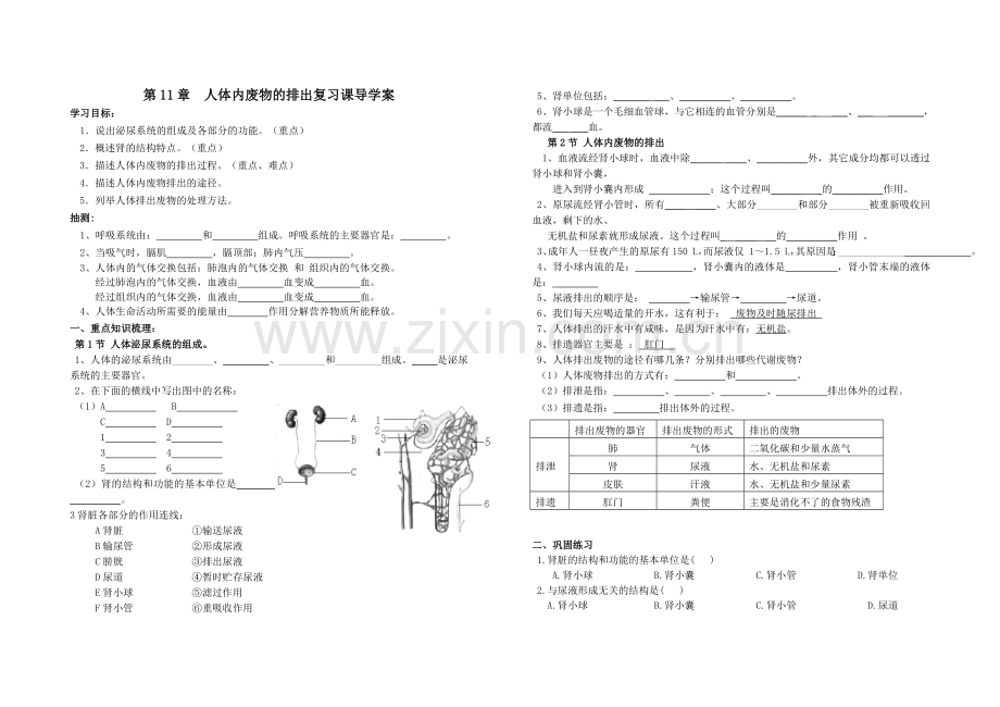 泌尿系统复习题.doc_第1页