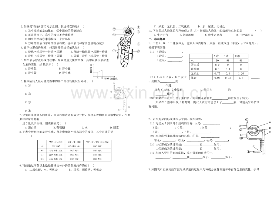 泌尿系统复习题.doc_第2页