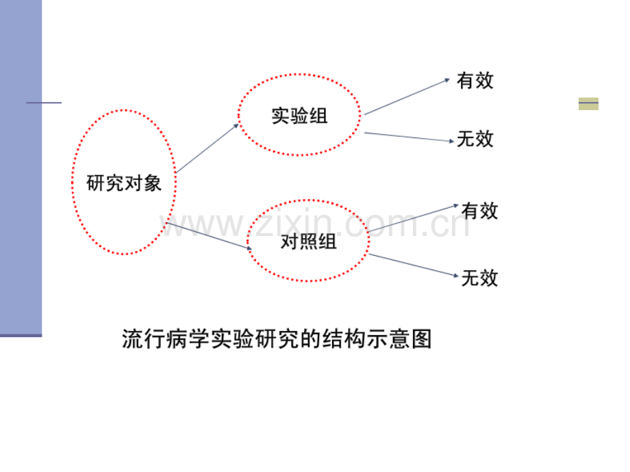 五社区干预试验.pptx_第2页