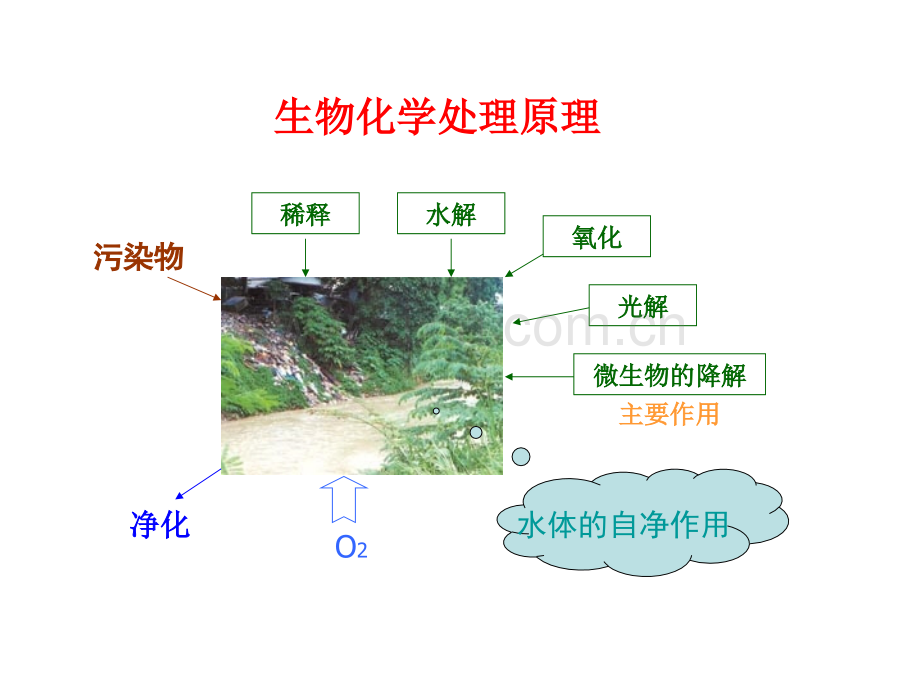 废水处理微生物基础--水的生物化学处理方法.pptx_第1页