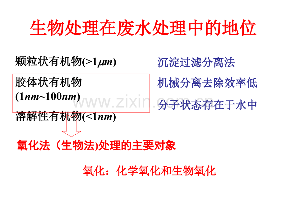 废水处理微生物基础--水的生物化学处理方法.pptx_第3页