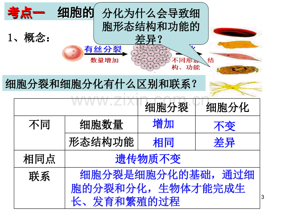 2015高三生物一轮复习细胞的分化衰老和癌变医学.pptx_第3页