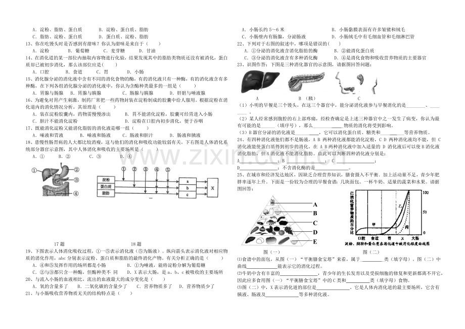 初中生物七年级下册人体的营养复习学案.doc_第2页