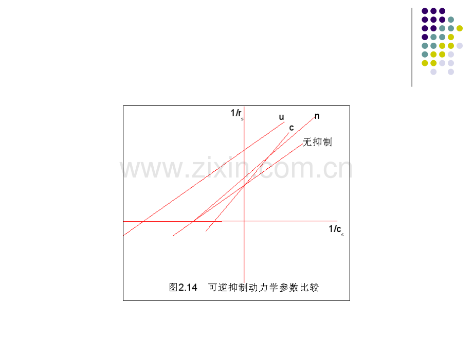 酶催化反应动力学作业参考.pptx_第3页