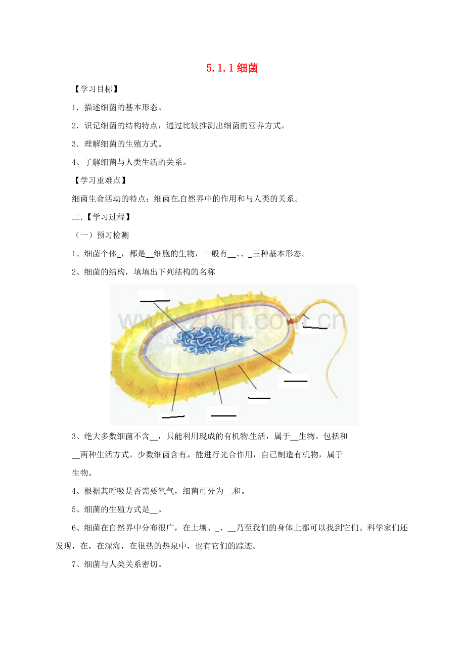 八年级生物上册-511-细菌导学案无答案新版冀教版.doc_第1页