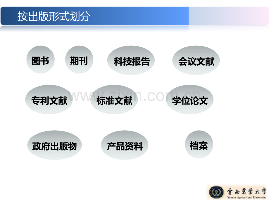 信息资源的类型及其特征.pptx_第2页