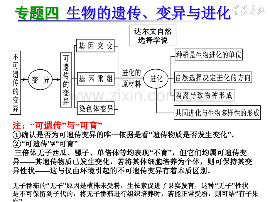 高三生物第二轮复习-专题4-生物的变异.pptx_第1页