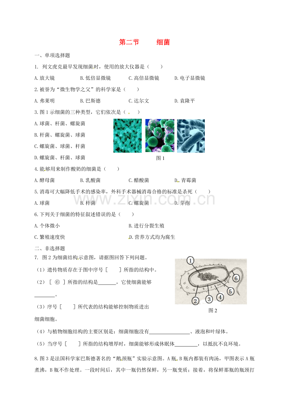 八年级生物上册-542-细菌校本作业-新版新人教版.doc_第1页