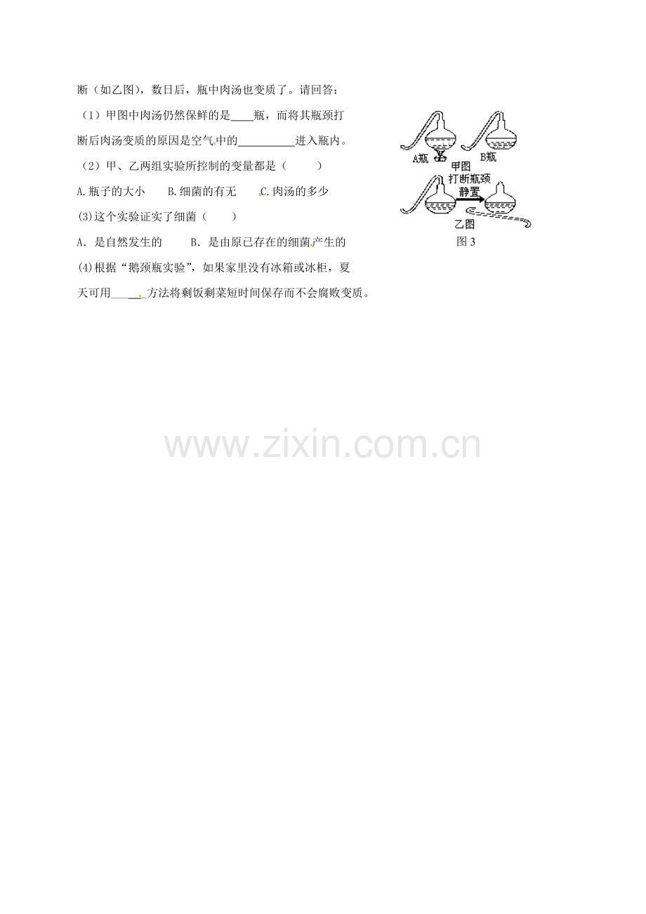 八年级生物上册-542-细菌校本作业-新版新人教版.doc_第2页