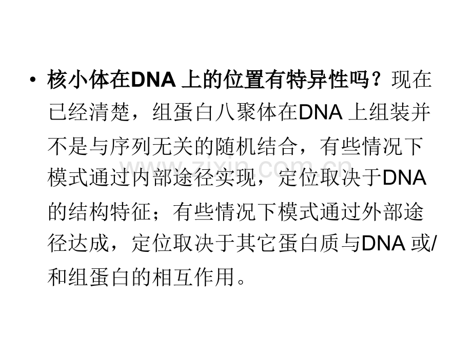 复制分子生物学.pptx_第2页