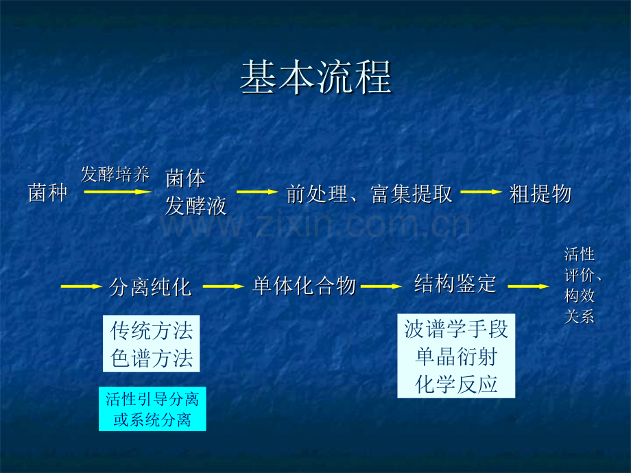 微生物次生代谢产物研究方法.pptx_第2页