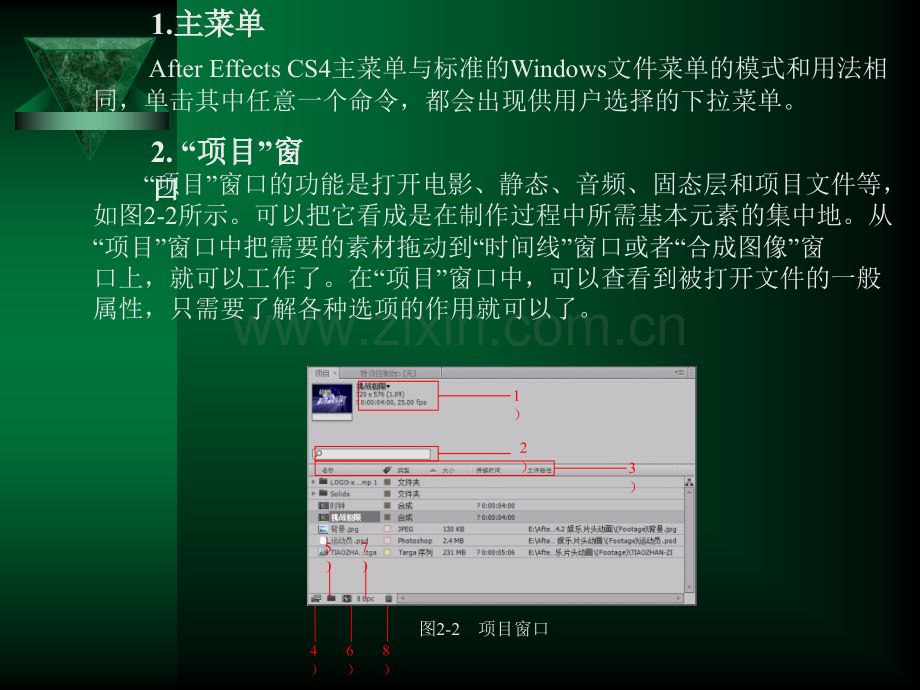 After-Effects-CS4的基本操作.pptx_第2页