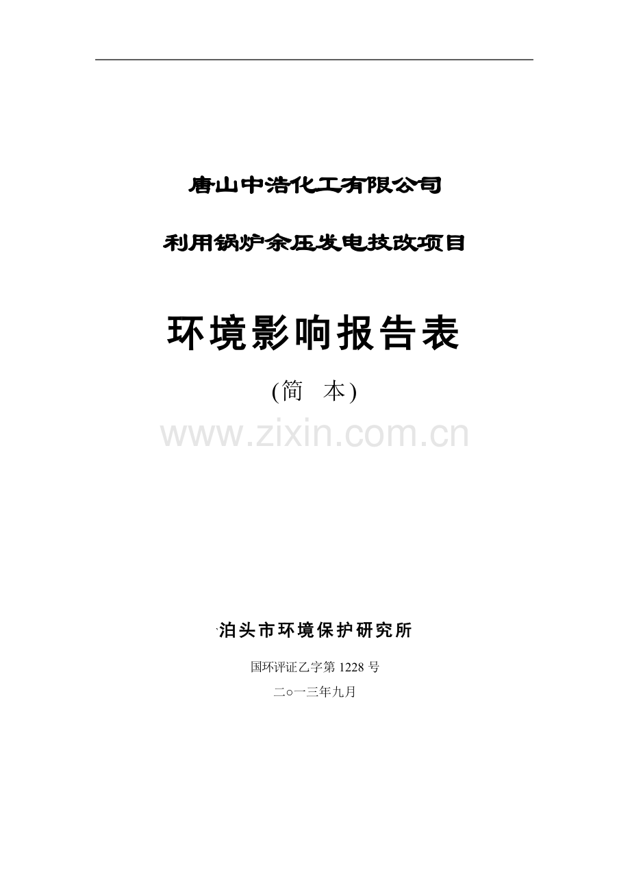 中浩化工有限公司利用锅炉余压发电技改项目申请立项环境影响评估报告书(简本).doc_第1页