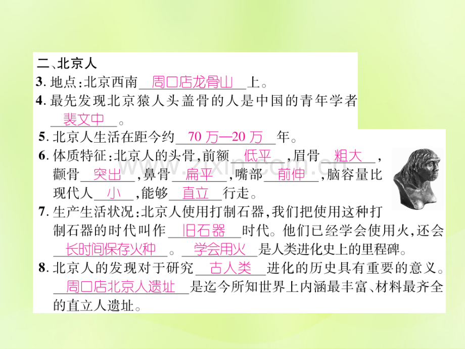 2018七年级历史上册史前时期中国境内人类的活动中国早期人类的代表—北京人新人教版.pptx_第3页