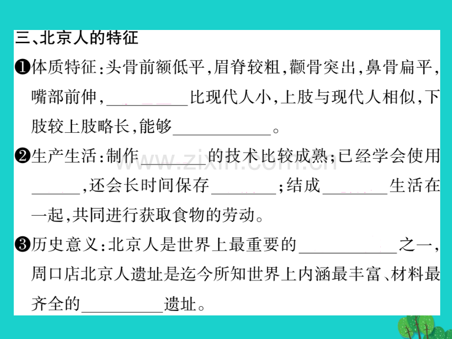 七年级历史上册北京人7华东师大版.pptx_第2页