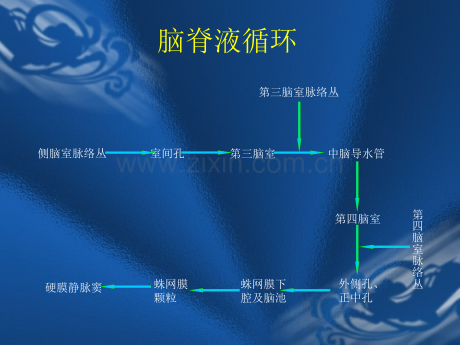 颅内压增高综合征.pptx_第1页