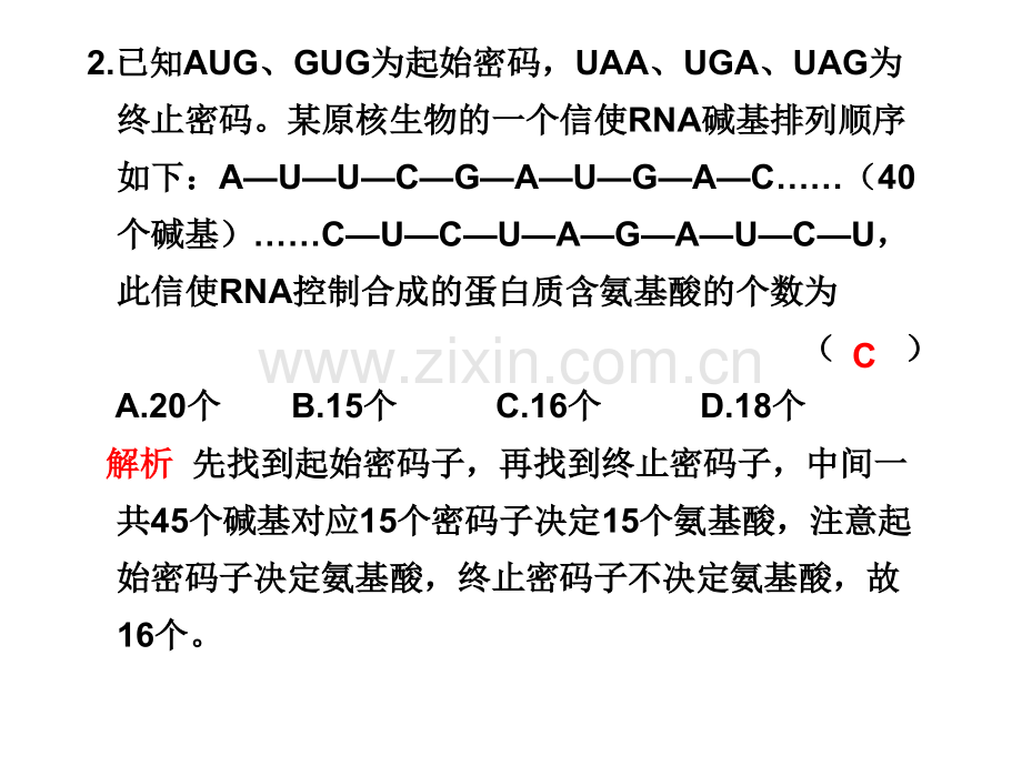 高三生物遗传变异和进化.pptx_第3页