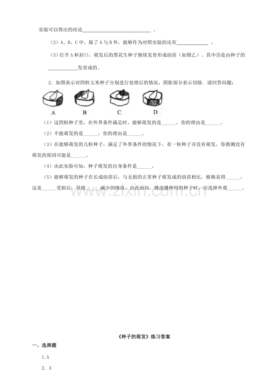 八年级生物上册-14种子的萌发练习-新版济南版1.doc_第3页