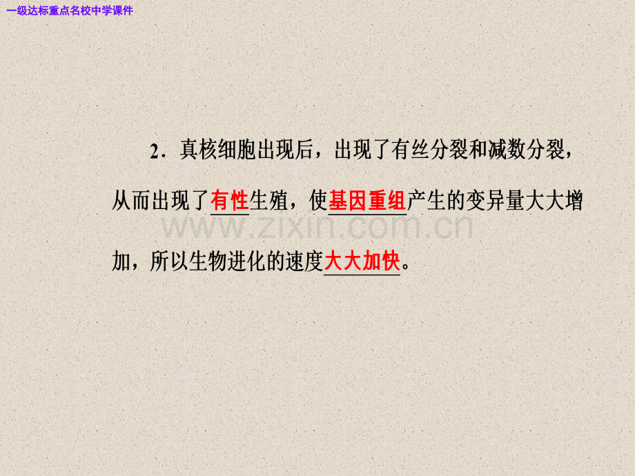 高三生物复习精讲精练之专题十一考点2生物进化与生物多样性的形成.pptx_第3页