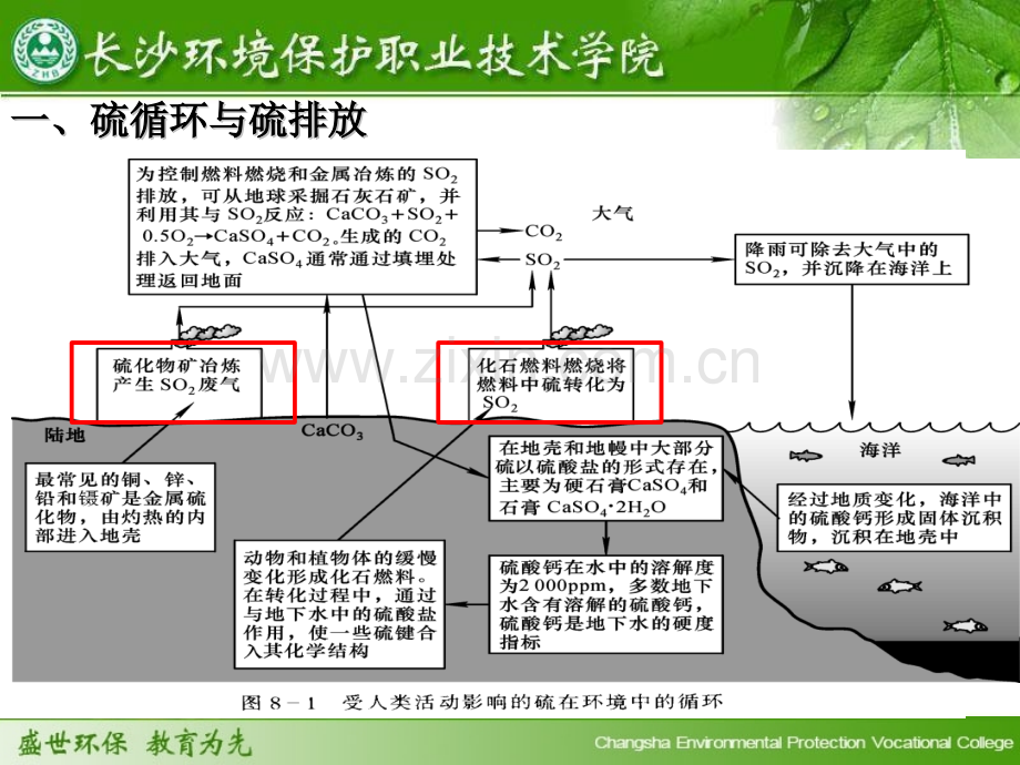 烟气中SO的治理技术方法.pptx_第3页