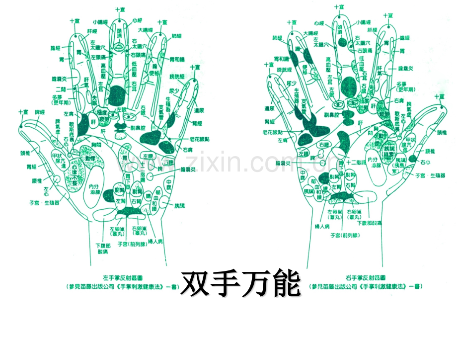 高效课堂培训.pptx_第3页