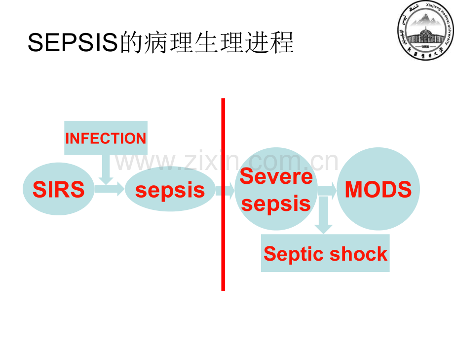 重症感染的知识点.pptx_第3页