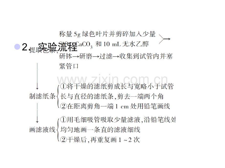 高三生物实验专项突破复习9.pptx_第3页