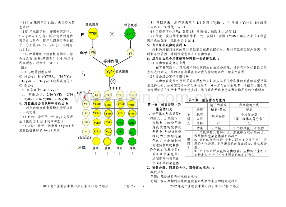 必修2高中生物会考条目解析浙科版.doc_第3页