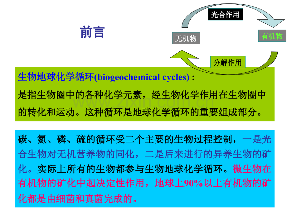 微生物在物质循环中的作用.pptx_第2页